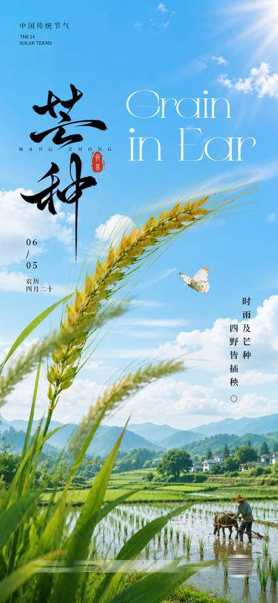 南门网 广告 海报 电商 芒种 插画 地产 医美 节气 中式 创意 传统节气 二十四节气 小满 夏季 艺术 美术 美业 单张 宣传