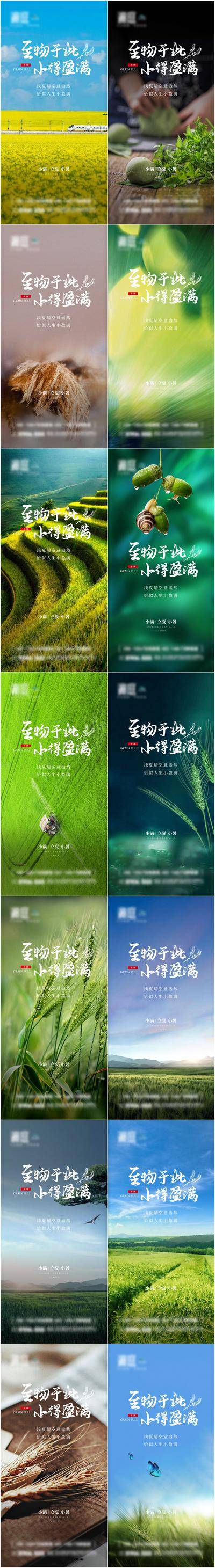 【南门网dcpsd.com】海报 地产 二十四节气 小满 立夏 小暑 麦田 大麦 雨水 雨露 树叶 系列