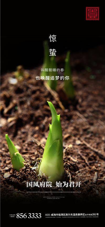 【南门网dcpsd.com】海报 二十四节气  惊蛰  竹笋  泥土