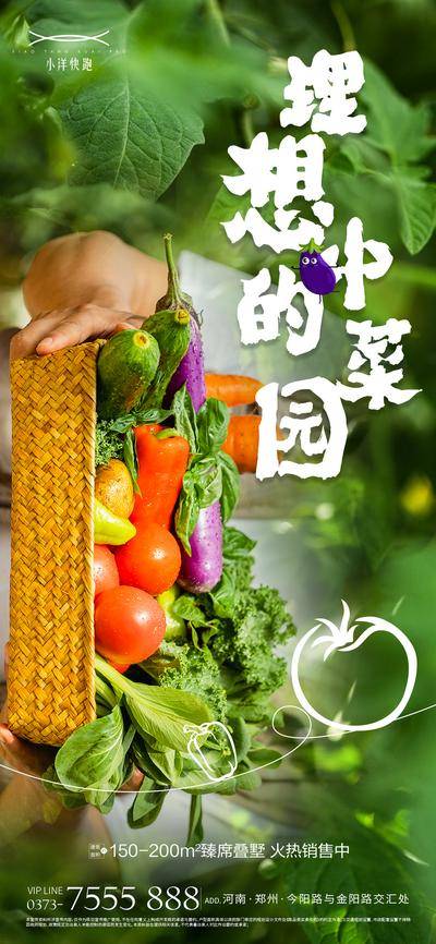 【南门网dcpsd.com】广告 海报 采摘 菜园 蔬菜 自然 绿色
