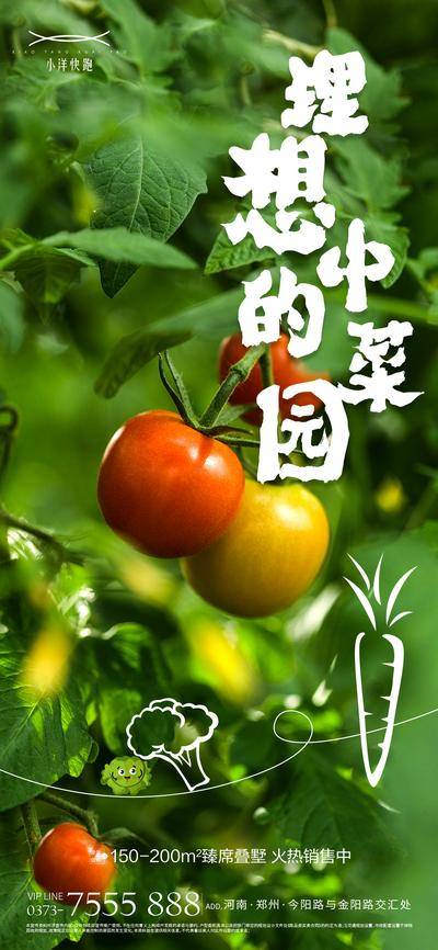 【南门网dcpsd.com】广告 海报 采摘 菜园 蔬菜 自然 绿色 西红柿