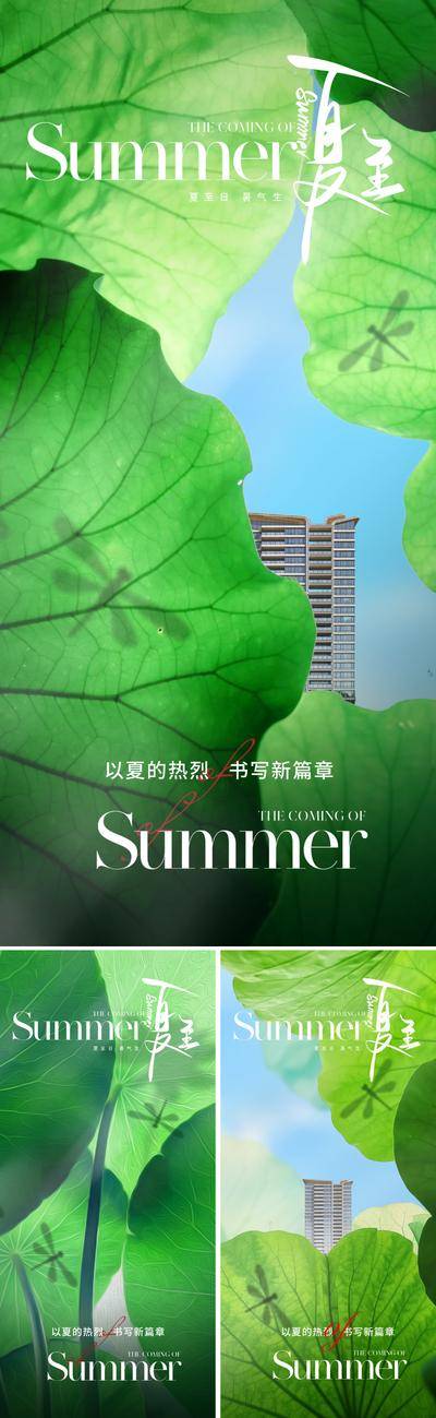 【南门网dcpsd.com】广告 海报 地产 夏至 节气 质感 夏天 夏季 阳光 荷叶 绿色 唯美 建筑 洋房 高层 立面 蜻蜓 蓝天白云 荷花 投影 光影 光感