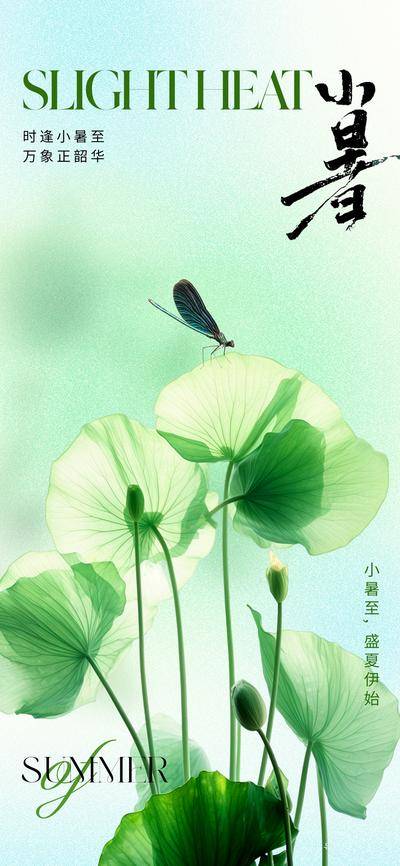 【南门网dcpsd.com】广告 海报 地产 小暑 医美 节气 质感 荷花 荷叶 锦鲤 金鱼 吃糖 湖水 水波 浮萍 暑假 暑期 夏天 夏季 唯美 高级