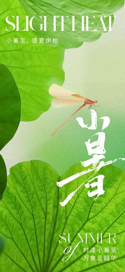 【南门网dcpsd.com】广告 海报 地产 小暑 节气 质感 美业 蜻蜓 荷叶 荷花 水池 池塘 湖面 锦鲤 金鱼 水波 水花 高级 清新 淡雅 唯美