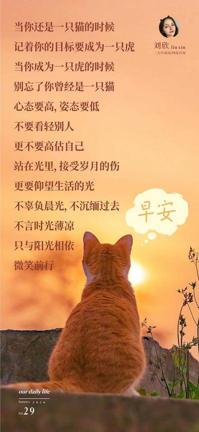 【南门网dcpsd.com】广告 海报 医美 早安 高端 质感 创意 你好 心灵鸡汤 医院 美业 整形 美容 版式 大气 高级 日签 早安图 营业 问候 猫咪 猫 日出 美好 摄影图 励志文 美丽 唯美 意境
