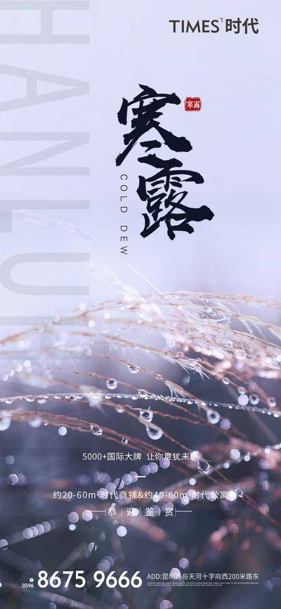 南门网 广告 海报 节气 寒露 简约