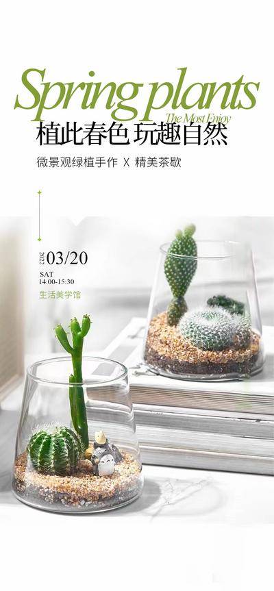 南门网 海报 地产 多肉 仙人掌 下午茶 diy