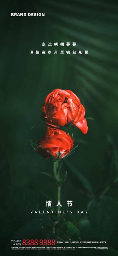 【南门网dcpsd.com】海报 公历节日 房地产 情人节 520 玫瑰花 质感 简约