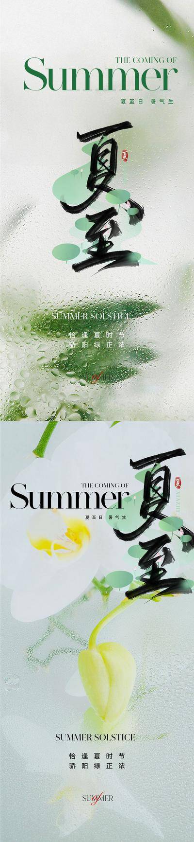 南门网 海报 二十四节气 夏至 医美 美业 清新 简约 淡雅 夏天 荷叶 系列