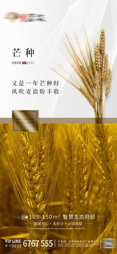 南门网 海报 房地产 二十四节气 芒种 简约 麦穗