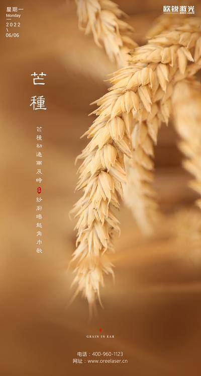 南门网 广告 海报 单图 芒种 节气