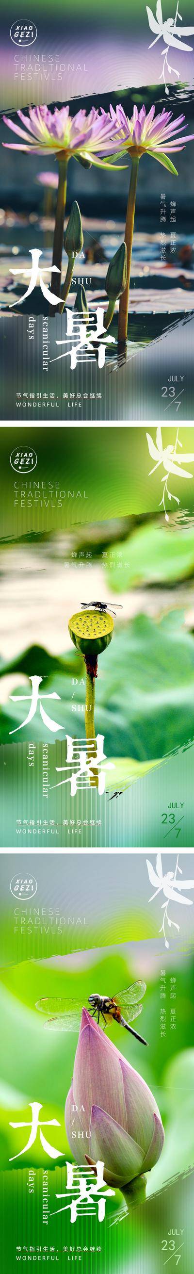 南门网 广告 海报 节气 大暑 荷花 系列