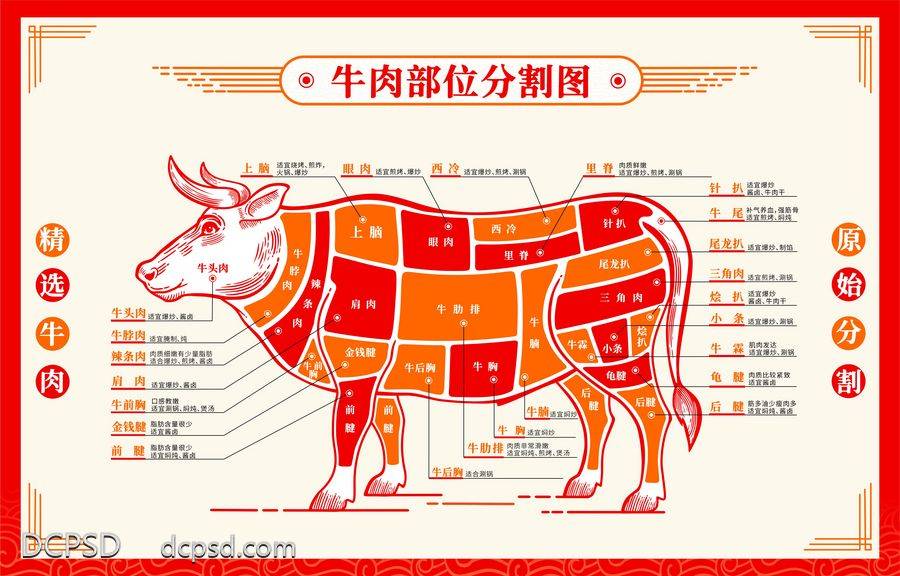 【南门网dcpsd.com】广告 海报 餐饮 牛肉 分解图 腱子肉 牛里脊 餐厅 展板 背景板 部位