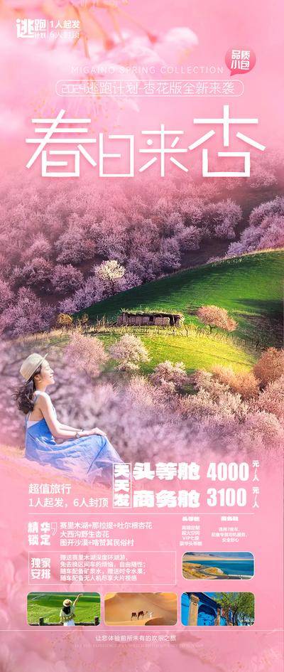 南门网 广告 海报 旅游 新疆 旅行 珀米尔 逃跑计划 跟团 独家 银杏 清新 龟兹 古城 桃林 十里桃花