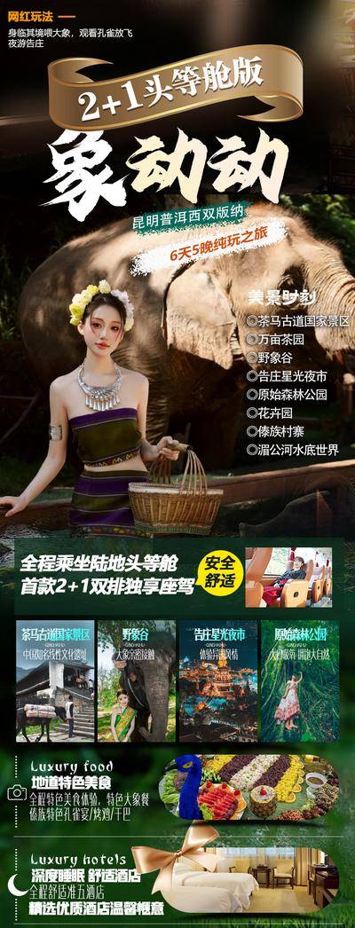 南门网 广告 海报 旅行 云南 旅游 傣族 昆明 普洱 西双版纳 大象 野象谷