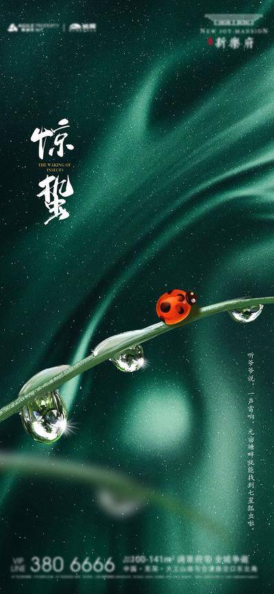 【南门网dcpsd.com】广告 海报 地产 惊蛰 医美 节气 质感 美业 瓢虫 七星瓢虫 草 树叶 绿色 高级 唯美 清新 春天