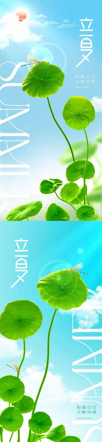 南门网 广告 海报 地产 立夏 节气 质感 美业 唯美 夏天 阳光 蜻蜓 荷叶 浮萍 晴天 高级 清新 品质 简约 大气