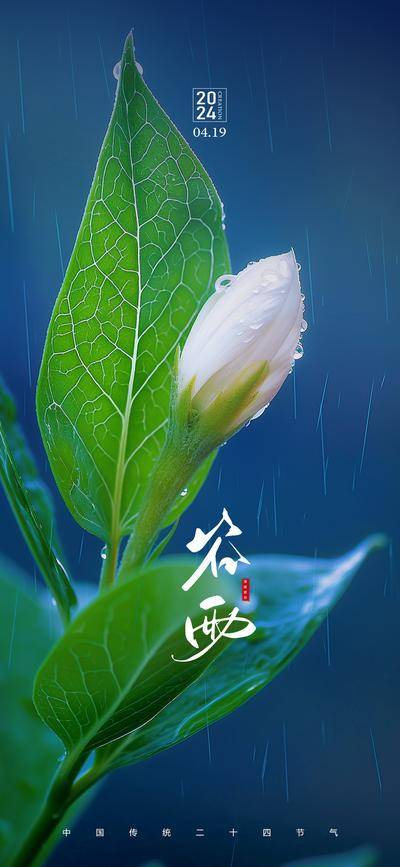 南门网 广告 海报 二十四节气 谷雨 下雨 微距 风景 意境 唯美 简约 植物