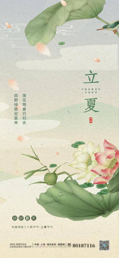 南门网 广告 海报 节气 立夏 插画 手绘 中式 绘画 荷叶