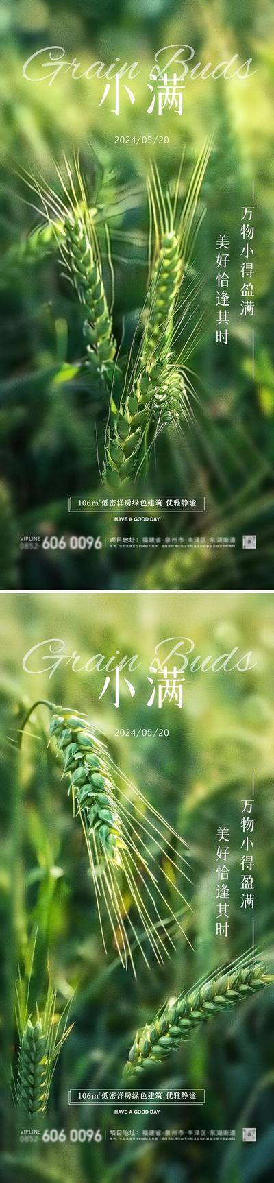 【南门网dcpsd.com】广告 海报 插画 小满 地产 节日 高端 创意 系列 唯美 芒种 520 24节气 麦穗 梯田 高级 房地产 公历 二十四节气 风景