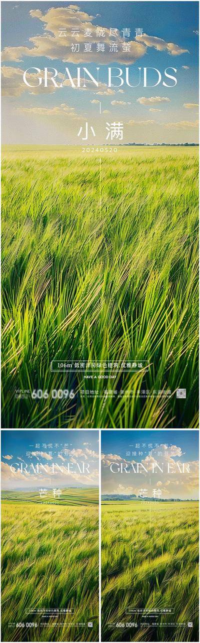 【南门网dcpsd.com】广告 海报 插画 小满 地产 节日 高端 创意 系列 芒种 520 24节气 麦穗 梯田 高级 房地产 公历 二十四节气 风景
