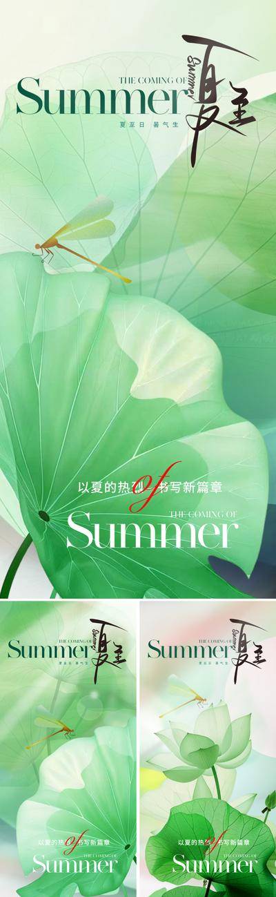 南门网 广告 海报 地产 夏至 节气 中式 质感 美业 夏天 夏季 荷叶 蜻蜓 清新 淡雅 二十四节气 高级 唯美 意境 东方 美学 轻奢
