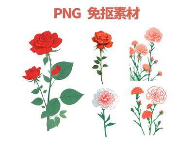 南门网 免抠素材 PNG 元素 插画素材 手绘风格 节日元素 玫瑰花 康乃馨 红色 粉色 花朵