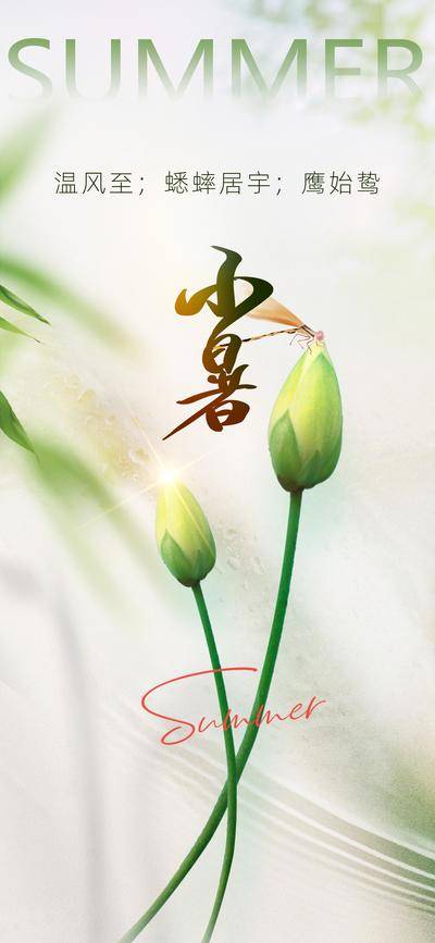 南门网 广告 海报 节气 小暑 荷花 荷包
