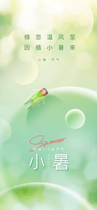 南门网 广告 海报 节气 小暑 大暑 蝉