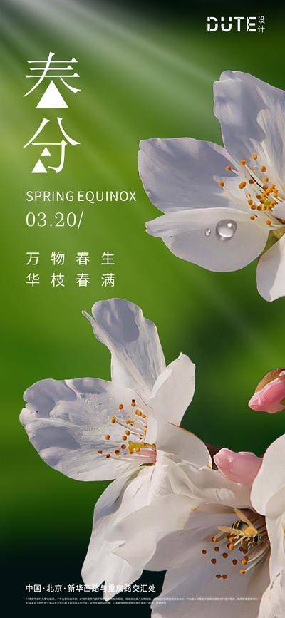 南门网 广告 海报 地产 春分 节气 花卉