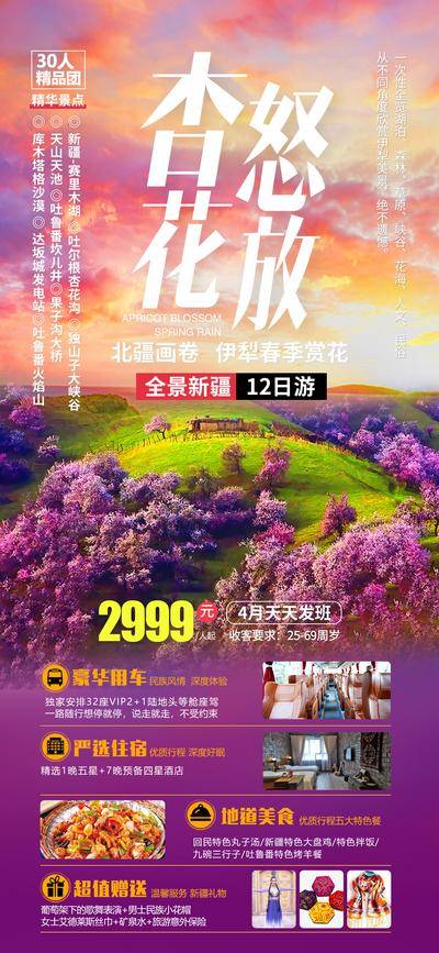南门网 海报 长图 展架 旅游 新疆 花海 花田 风景 畅玩 杏花 樱花