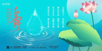 南门网 广告 海报 主画面 白露 地产 节气 主背景 荷花 荷叶