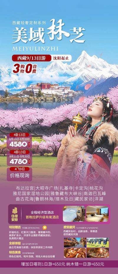南门网 海报 旅游 西藏 布达拉宫 大昭寺广场 扎基寺 卡定沟 桃花沟 雅尼国家湿地公园