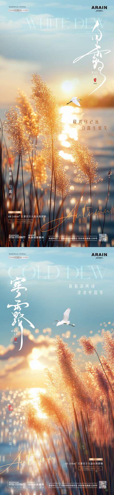 南门网 广告 海报 房地产 白露 二十四节气 寒露 秋分 霜降 湖边 芦苇 落日 水波光 蓝天 自然风景 白鹭 秋天 意境 简约