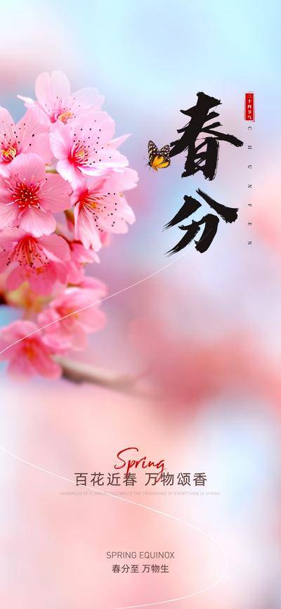 南门网 广告 海报 节气 春分 春天 柳条 燕子 立春 芬芳 樱花 春风 春色 柳叶 花瓣