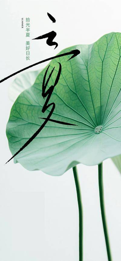 南门网 广告 海报 节气 立夏 荷叶 简约 清新