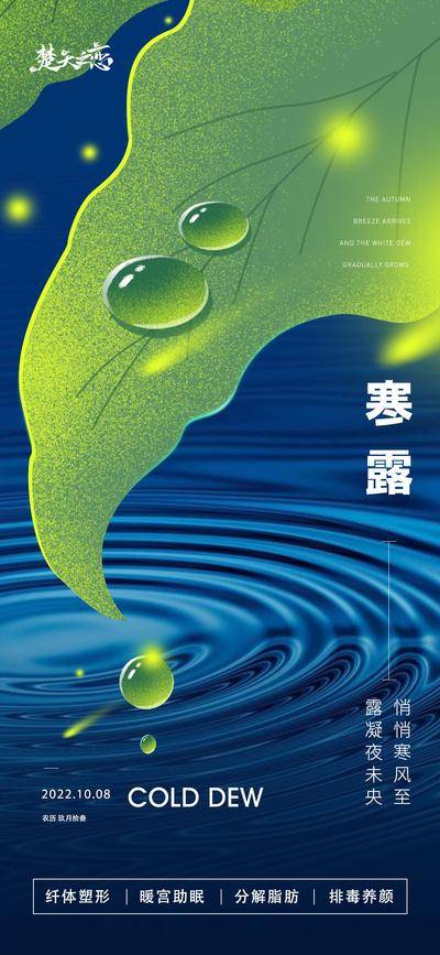 南门网 广告 海报 二十四节气 寒露 寒霜 宣传 单页 荷叶 水珠 涟漪 手绘