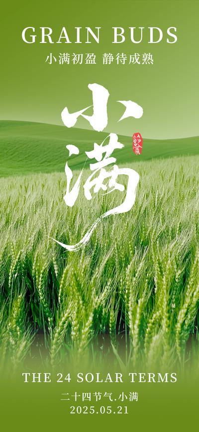 南门网 广告 海报 节气 小满 节气海报 二十四节气 麦子 小清新 夏季 麦田