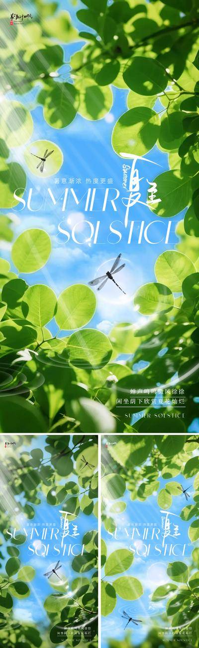 南门网 广告 海报 地产 夏至 节气 质感 美业 夏天 夏季 绿色 树叶 大树 阳光 光影 蜻蜓 晴天 蓝天白云 唯美 柔和 光 太阳 设计感 现代 简约 书法字 艺术