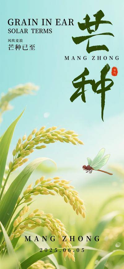 南门网 广告 海报 麦穗 芒种 二十四节气 麦田 麦子 节气海报 麦穗 丰收