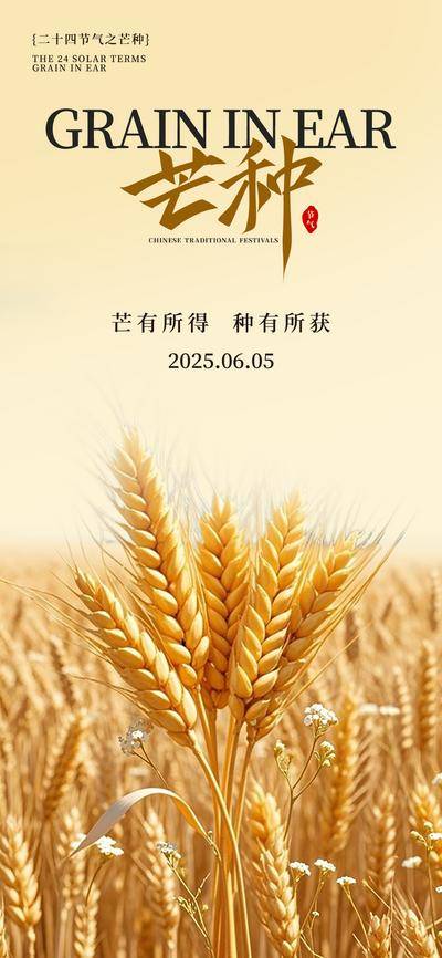 南门网 芒种节气海报