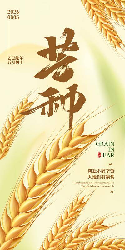 南门网 广告 海报 节气 芒种 节气海报 麦穗