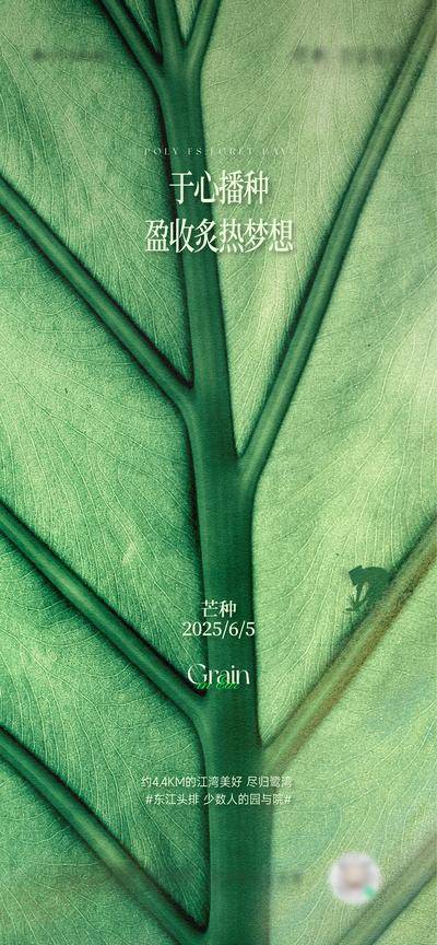 南门网 广告 海报 节气 芒种 地产 树叶 筋络 经脉 绿色 植物