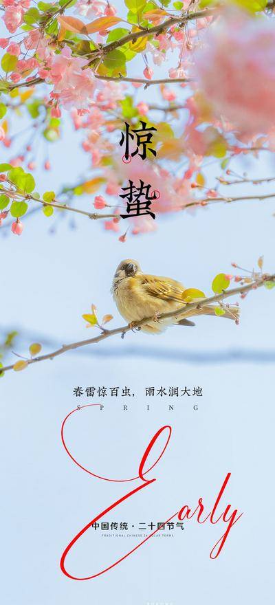 南门网 惊蛰节气海报