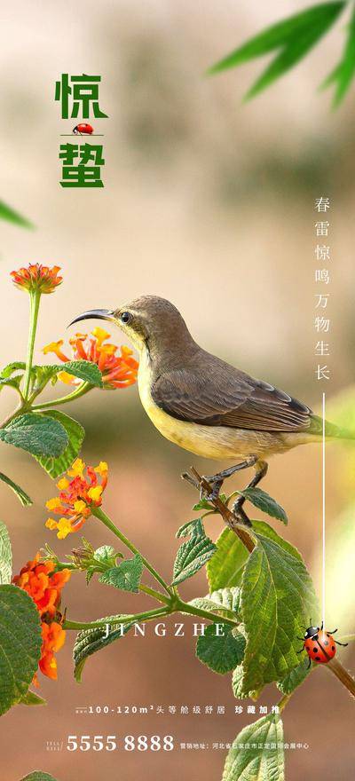 南门网 广告 海报 节气 惊蛰 春天海报 惊蛰海报 绿色海报 二十四节气