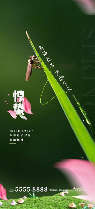 南门网 广告 海报 节气 惊蛰 春天海报 惊蛰海报 绿色海报 二十四节气 微距 唯美