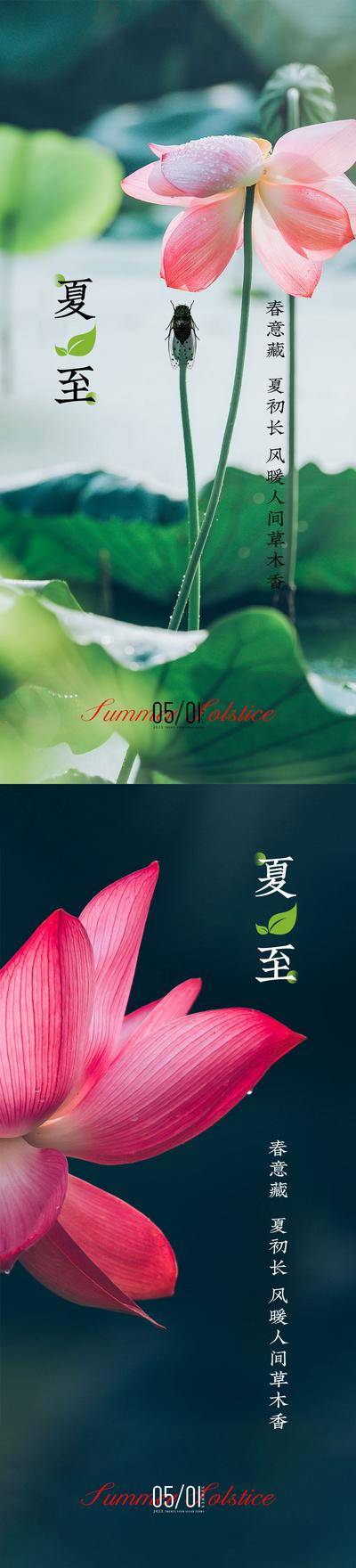 南门网 广告 海报 节气 夏至 系列 荷花 荷叶 池塘