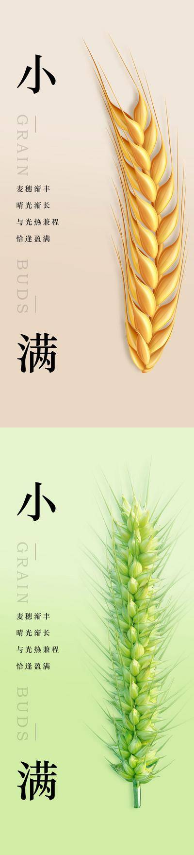南门网 广告 海报 节气 小满 小满节气海报 小满节气图 小满微信 小满朋友圈图 地产微信 地产朋友圈 小满节气 小满挂画 小满画册 小满灯箱 小满杂志 小满折页 麦穗