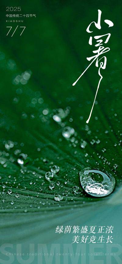 南门网 广告 海报 节气 小暑 荷花 荷叶 雨露 雨滴 简约