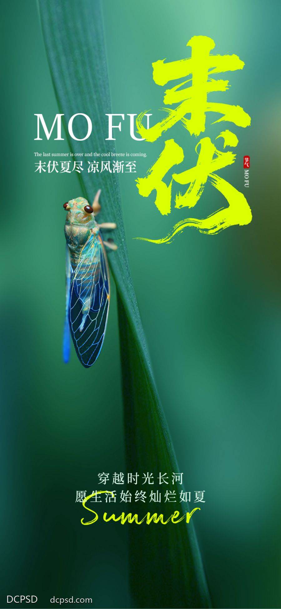 南门网 小暑 大暑 处暑 三伏 清凉 避暑 消夏 冰爽 末伏